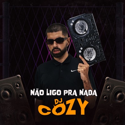 Não Ligo Pra Nada - Single