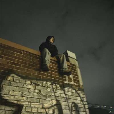 Red Seat Lifestyle (feat. Shintō Machina) - Single