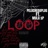 Loop - Single - Peluchedaplug