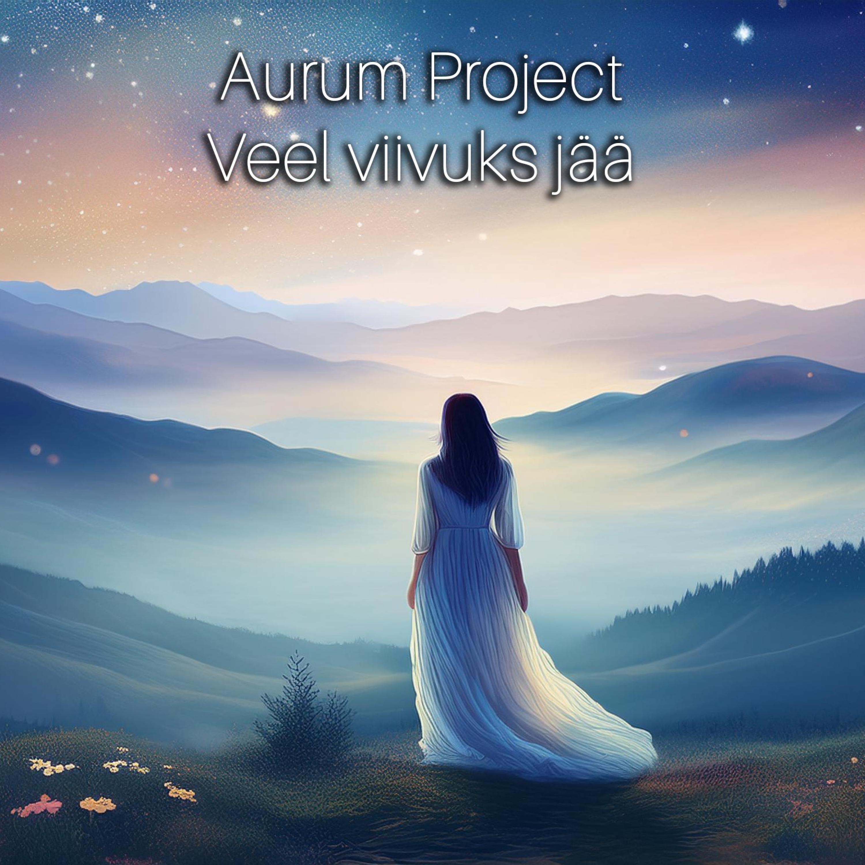 Veel viivuks jää - Single