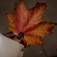 Люби - Single - execute