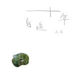 十年自选