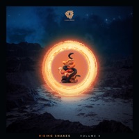 Elementary Particles - Single - J.Fay & Lightcamo