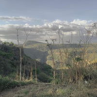 wind - Single - tato