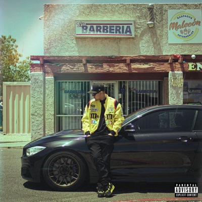 Bimmer Conversations