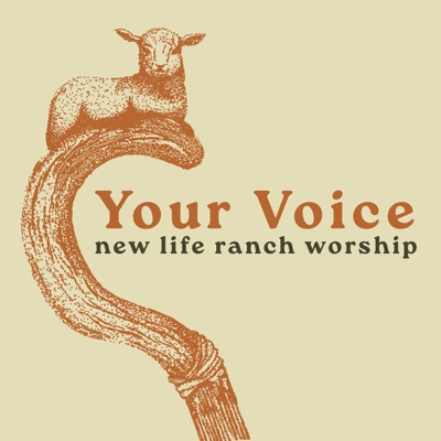 Your Voice - Single
