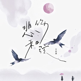 悲伤和弦 (伴奏) 王忻辰