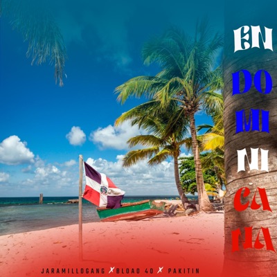 En Dominicana (feat. Bloao 40 Y Pakitin) - Single