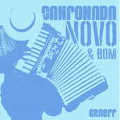 SANFONADA NOVO E BOM