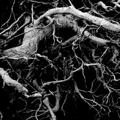 DREAM BUT DONT SLEEP