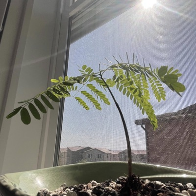 who you are - Single