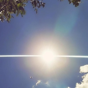 19 - Single