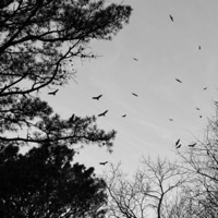 TOMORROW'S TODAY (feat. Lvposeidon) - Single - CADEN ASHER