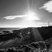 The Healer - Neville James Martin