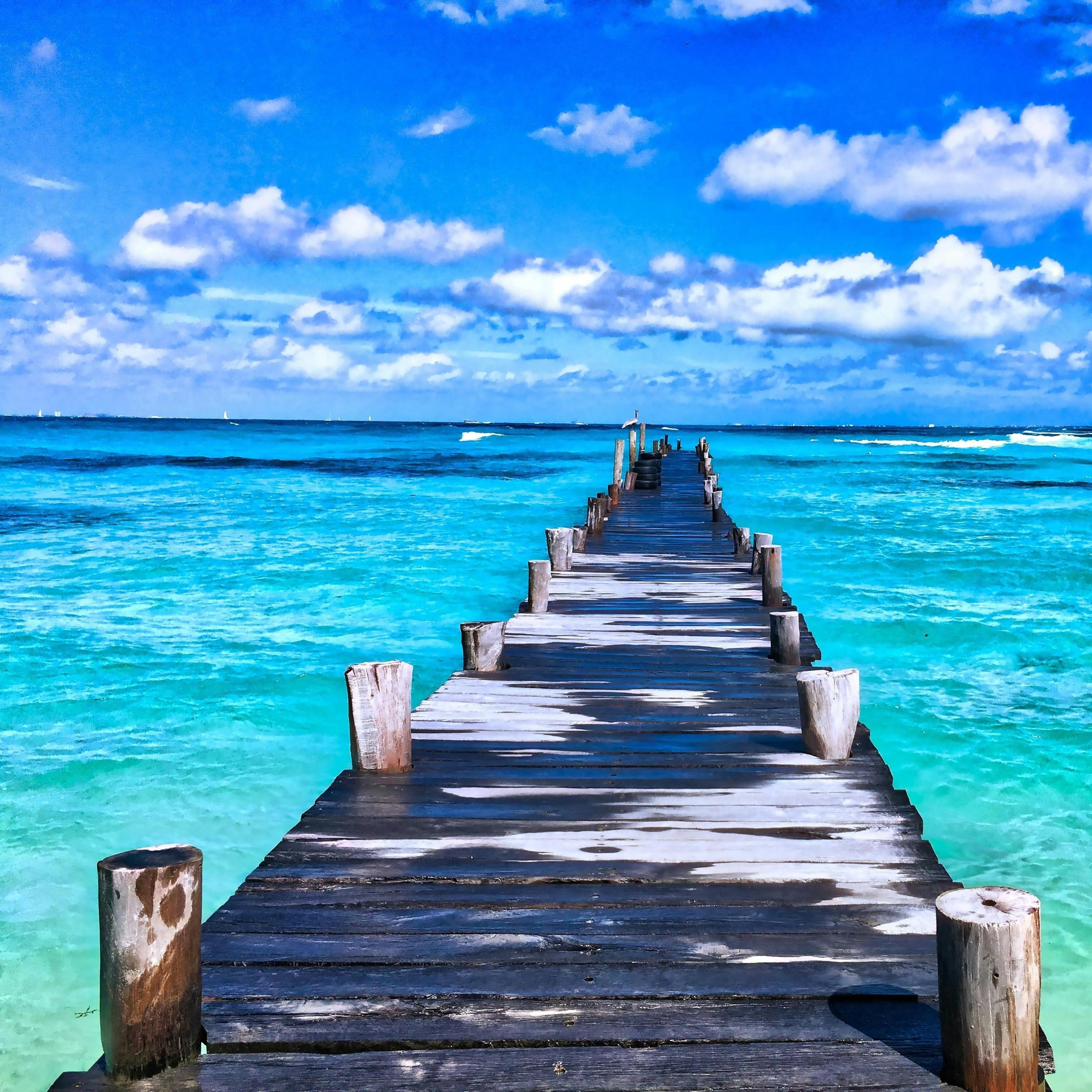 i dont know i dont care - Single