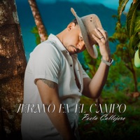 VERANO EN EL CAMPO - Poeta Callejero