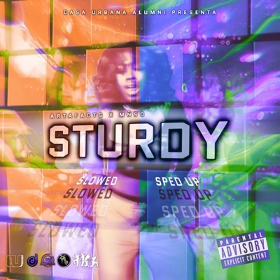 STURDY (Screwed + Sped Up) - Single