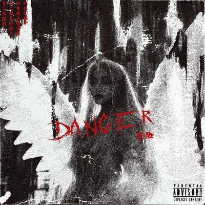 DANGER - Single