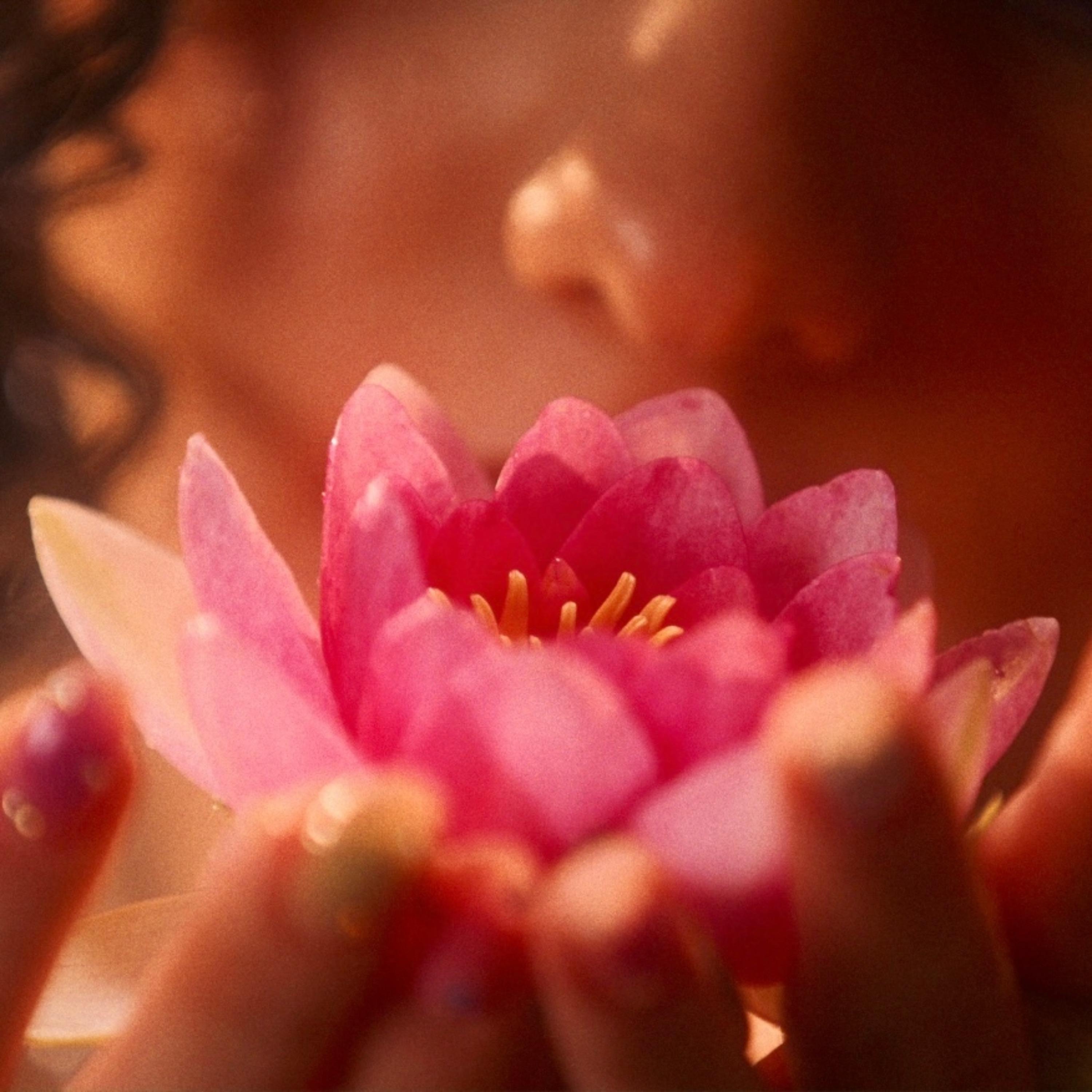 Sanctuary Stay - Single