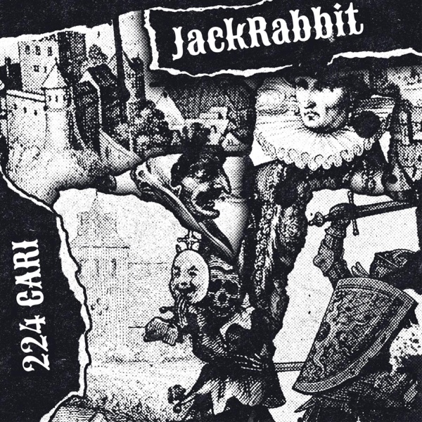 Jack Rabbit