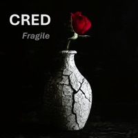 CRED - Fragile