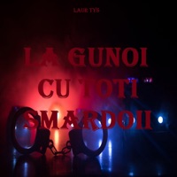 La gunoi cu toti smardoii - Single - Laur Tys