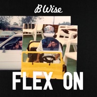Flex On - Single - B Wise