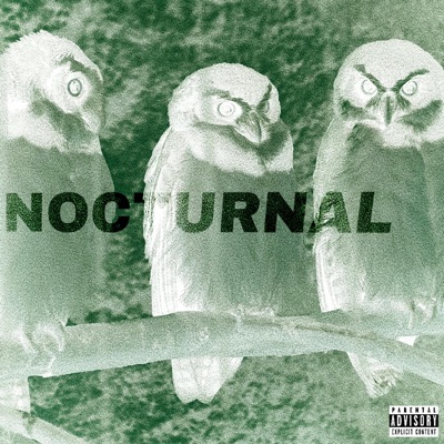 NOCTURNAL (feat. Anime Rari)