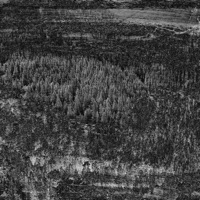 Cemetery Syndicate - Single - GrayGhost