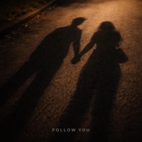 FOLLOW YOU (feat. Lush Vox) - Single - sAuce