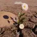 Patience