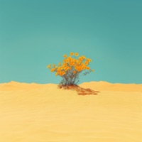Desert flowers - Single - MRK