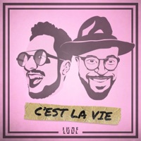 C'est la vie (feat. Kevin Davy White) - Single - LUDE