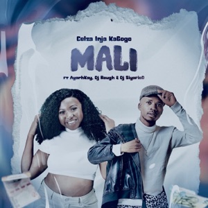 Mali (feat. Ayarhkay, DJ Rough & Dj Siyafied)