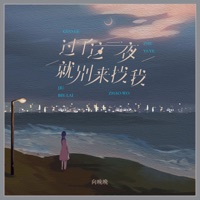 过了这一夜就别来找我 - Single - 向晚晚