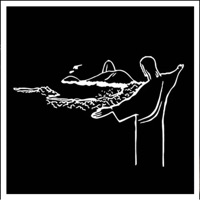 Gratidão - Single - solussu