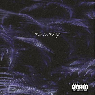 TwinTrip