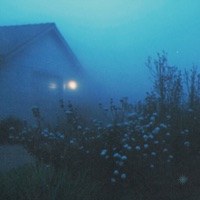 did i matter to you? (feat. LochHaven) - Single - obey