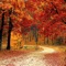 Autumn Foliage artwork