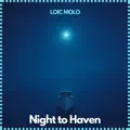 Night To Haven
