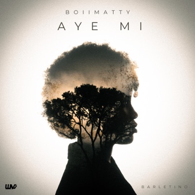 Aye Mi (feat. Barletino) - Single
