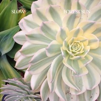 Slow - Single - Forest Sun
