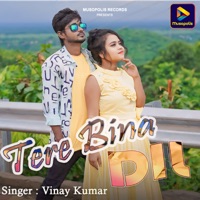 Tere Bina Dil - Single - Vinay Kumar