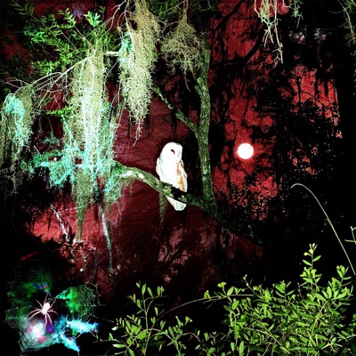 a ballad for someone i no longer know - Single