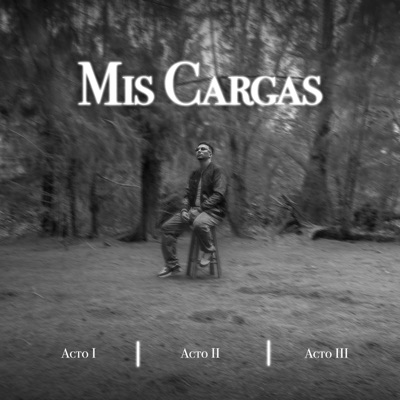 Mis Cargas - Single