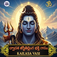 ద్వాదశ జ్యోతిర్లింగ భక్తి గానం - Kailasa Vasi (feat. Pallaprolu Vijaya Rami Reddy) - Single - Santosh Kumar Mudragada