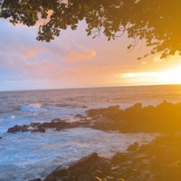 Hawaii - Single - Bentley2k