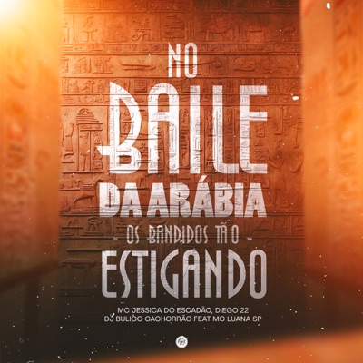 No Baile da Arábia os Bandidos Tão Estigando (feat. MC Luana SP) - Single