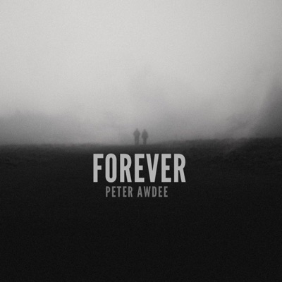 Forever - Single