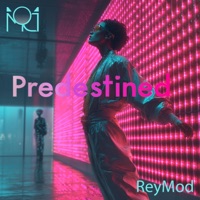 Predestined - Single - Reymod